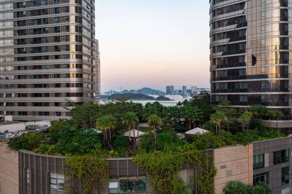 Lush green roof garden between two modern glass buildings with a distant view of a cityscape.