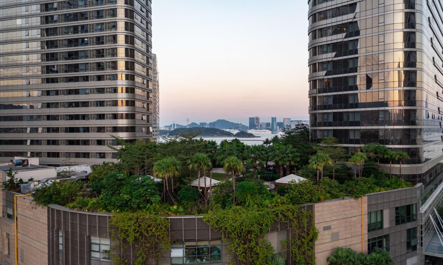 Lush green roof garden between two modern glass buildings with a distant view of a cityscape.